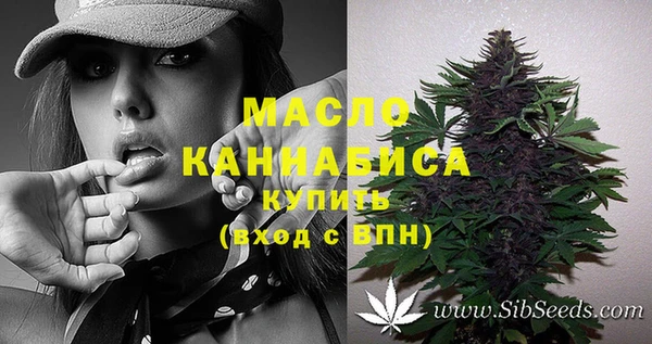 шишки Богородицк