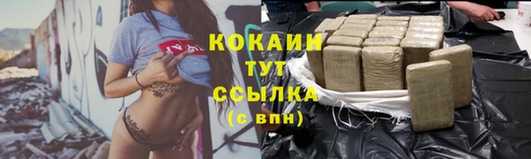 шишки Богородицк