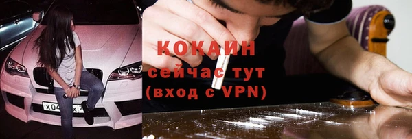шишки Богородицк