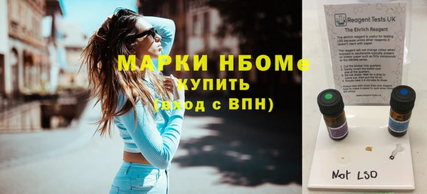 шишки Богородицк